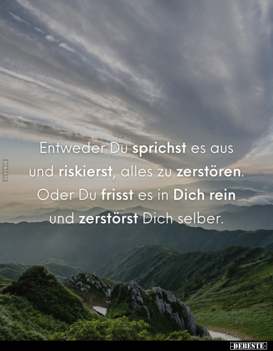 Entweder Du sprichst es aus und riskierst, alles zu.. - Lustige Bilder | DEBESTE.de