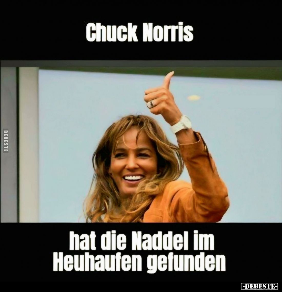 Chuck Norris hat die Naddel im Heuhaufen gefunden.. - Lustige Bilder | DEBESTE.de