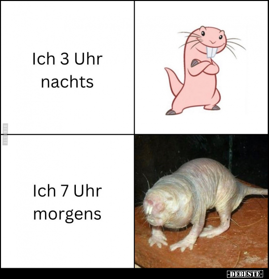 Ich 3 Uhr nachts - Ich 7 Uhr morgens.. - Lustige Bilder | DEBESTE.de