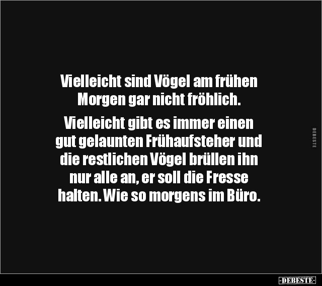 Vielleicht sind Vögel am frühen Morgen gar nicht.. - Lustige Bilder | DEBESTE.de