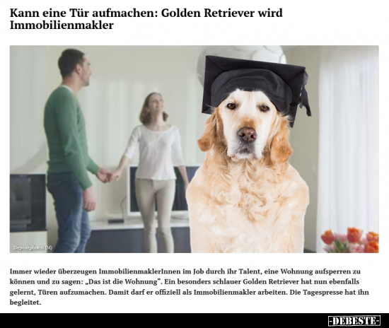 Kann eine Tür aufmachen: Golden Retriever wird.. - Lustige Bilder | DEBESTE.de