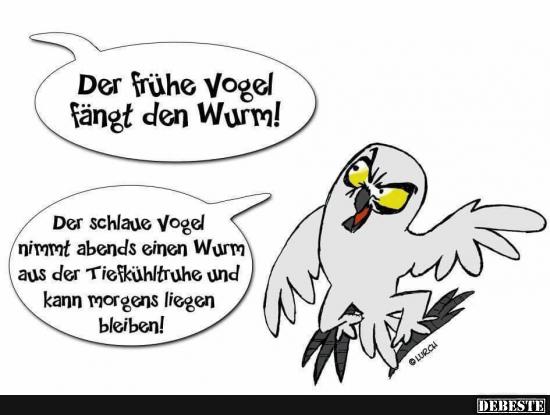 Der frühe Vogel fängt den Wurm! - Lustige Bilder | DEBESTE.de