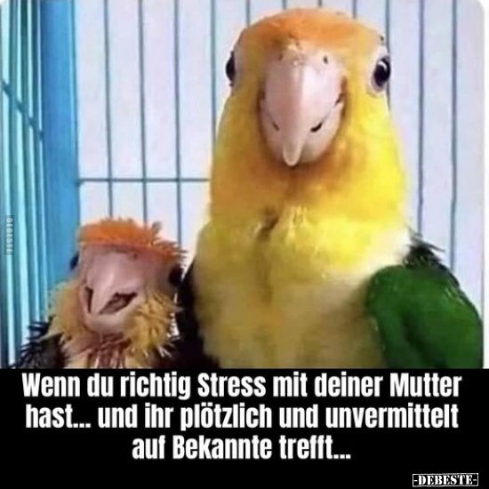 Wenn du richtig Stress mit deiner Mutter hast.. - Lustige Bilder | DEBESTE.de