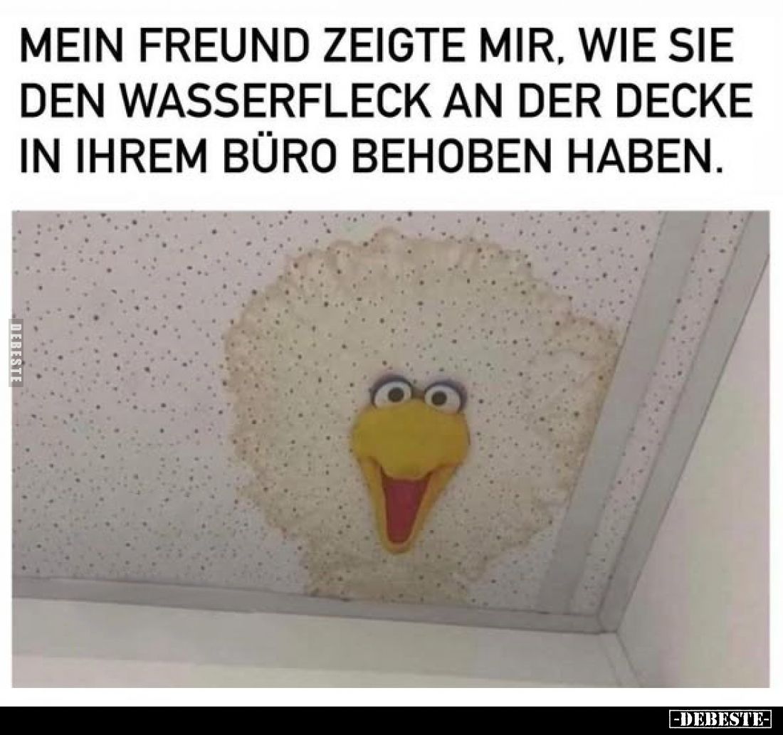 Mein Freund zeigte mir, wie sie den Wasserfleck an der.. - Lustige Bilder | DEBESTE.de