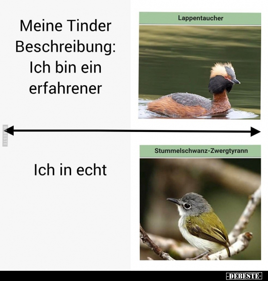 Meine Tinder Beschreibung: Ich bin ein erfahrener.. - Lustige Bilder | DEBESTE.de