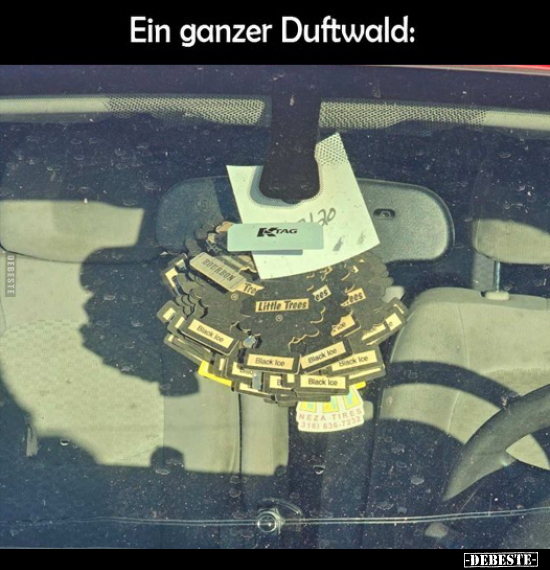 Ein ganzer Duftwald.. - Lustige Bilder | DEBESTE.de