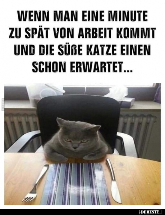 Wenn man eine Minute zu spät von Arbeit kommt.. - Lustige Bilder | DEBESTE.de