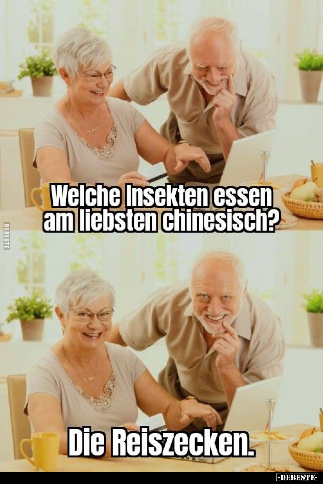 Welche Insekten essen am liebsten chinesisch?

Die Reiszecken.