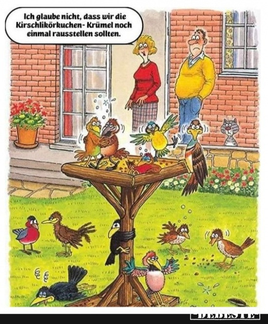  - Lustige Bilder | DEBESTE.de