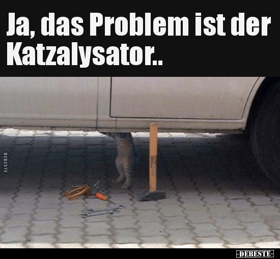 Ja, das Problem ist der Katzalysator..