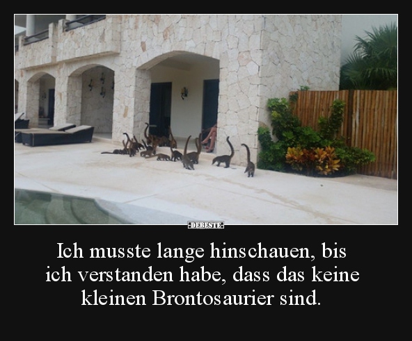 Ich musste lange hinschauen, bis ich verstanden habe, dass..