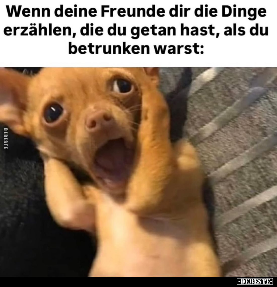 Wenn deine Freunde dir die Dinge erzählen, die du getan hast, als du betrunken warst: