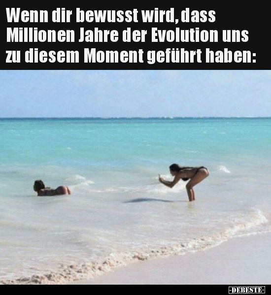 Wenn dir bewusst wird, dass Millionen Jahre der Evolution..