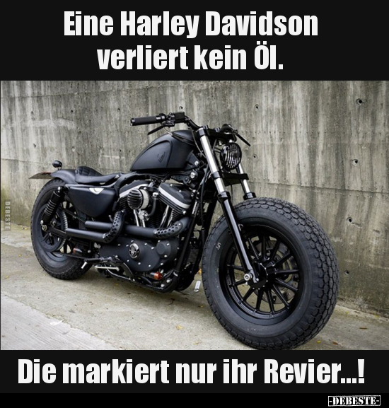 Eine Harley Davidson verliert kein Öl. Die markiert nur.. - Lustige Bilder | DEBESTE.de