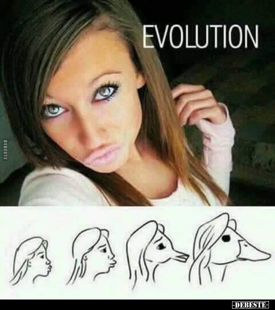  - Lustige Bilder | DEBESTE.de