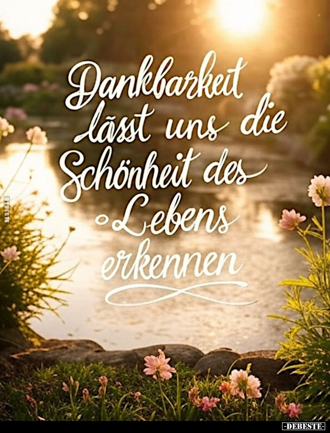 Dankbarkeit lässt uns die Schönheit des Lebens erkennen.