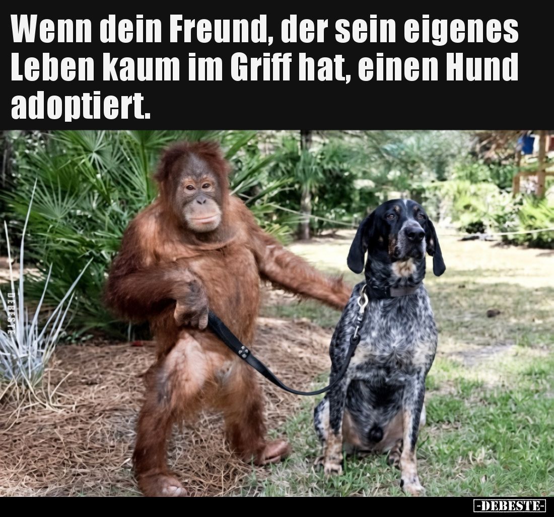 Wenn dein Freund, der sein eigenes Leben kaum im Griff hat, einen Hund adoptiert.