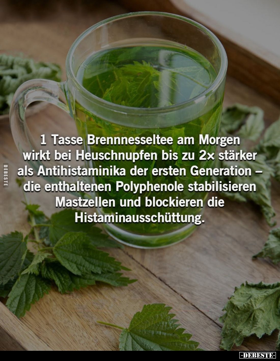 1 Tasse Brennnesseltee am Morgen wirkt bei Heuschnupfen bis zu 2x stärker als Antihistaminika der ersten Generation - die ent...
