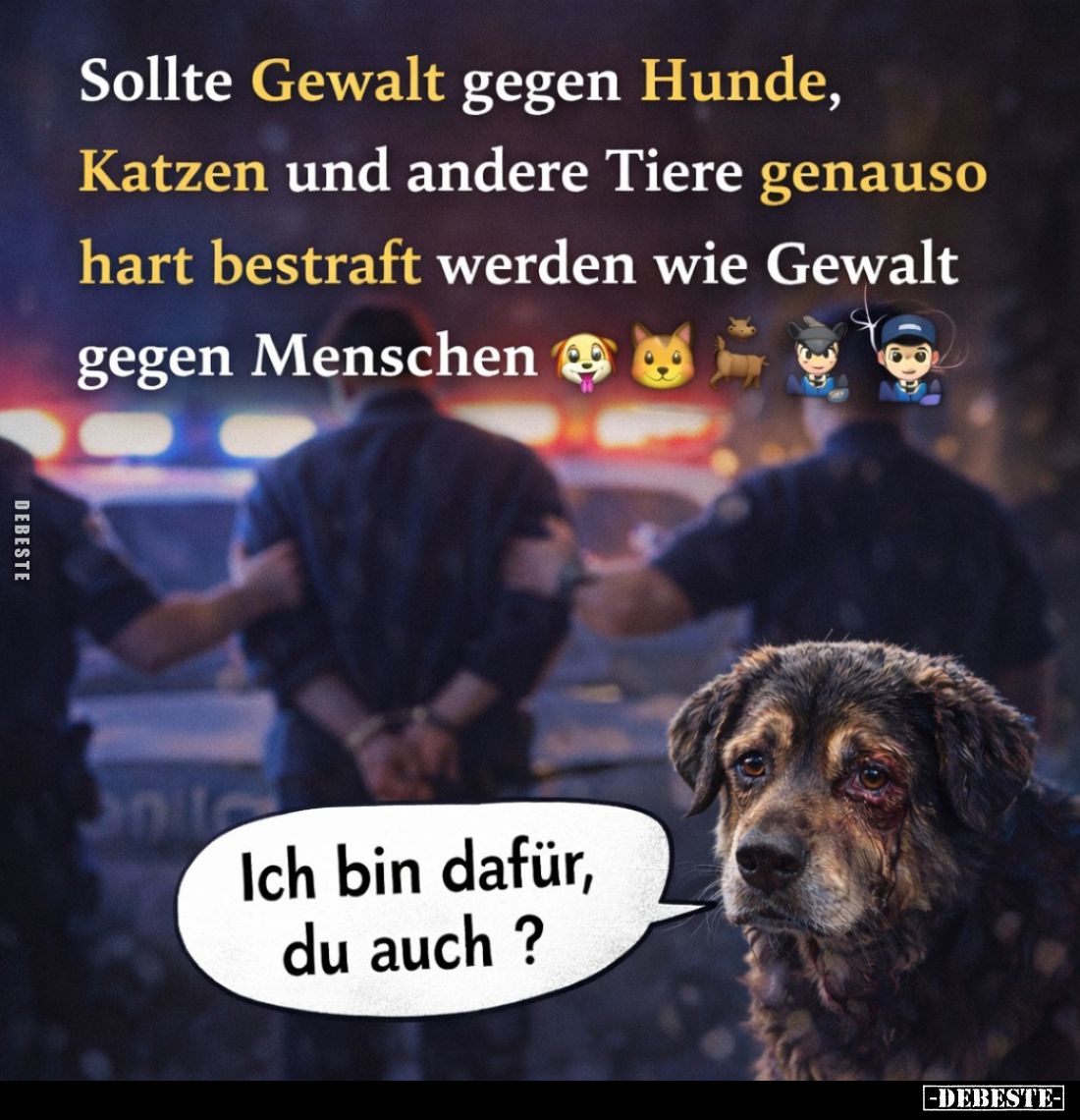 Sollte Gewalt gegen Hunde, Katzen und andere Tiere genauso hart bestraft werden wie Gewalt gegen Menschen. -
Ich bin dafür, ...