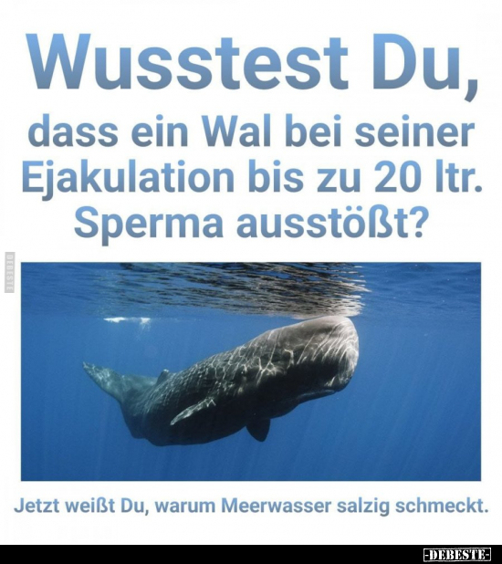 Wusstest Du, dass ein Wal bei seiner Ejakulation bis zu.. - Lustige Bilder | DEBESTE.de