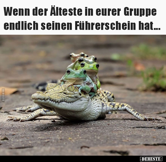 Lustige Bilder zum Thema: Gruppe, Test