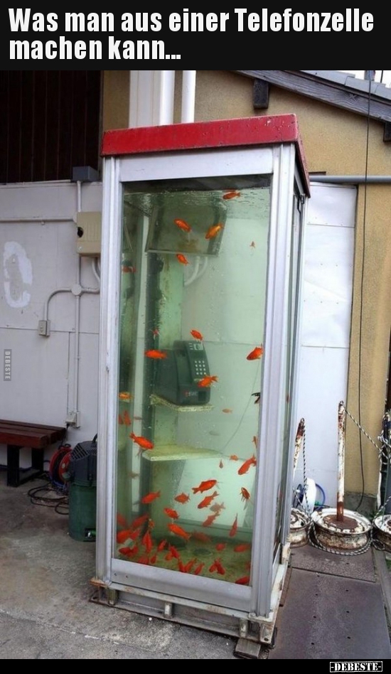Was man aus einer Telefonzelle machen kann...
