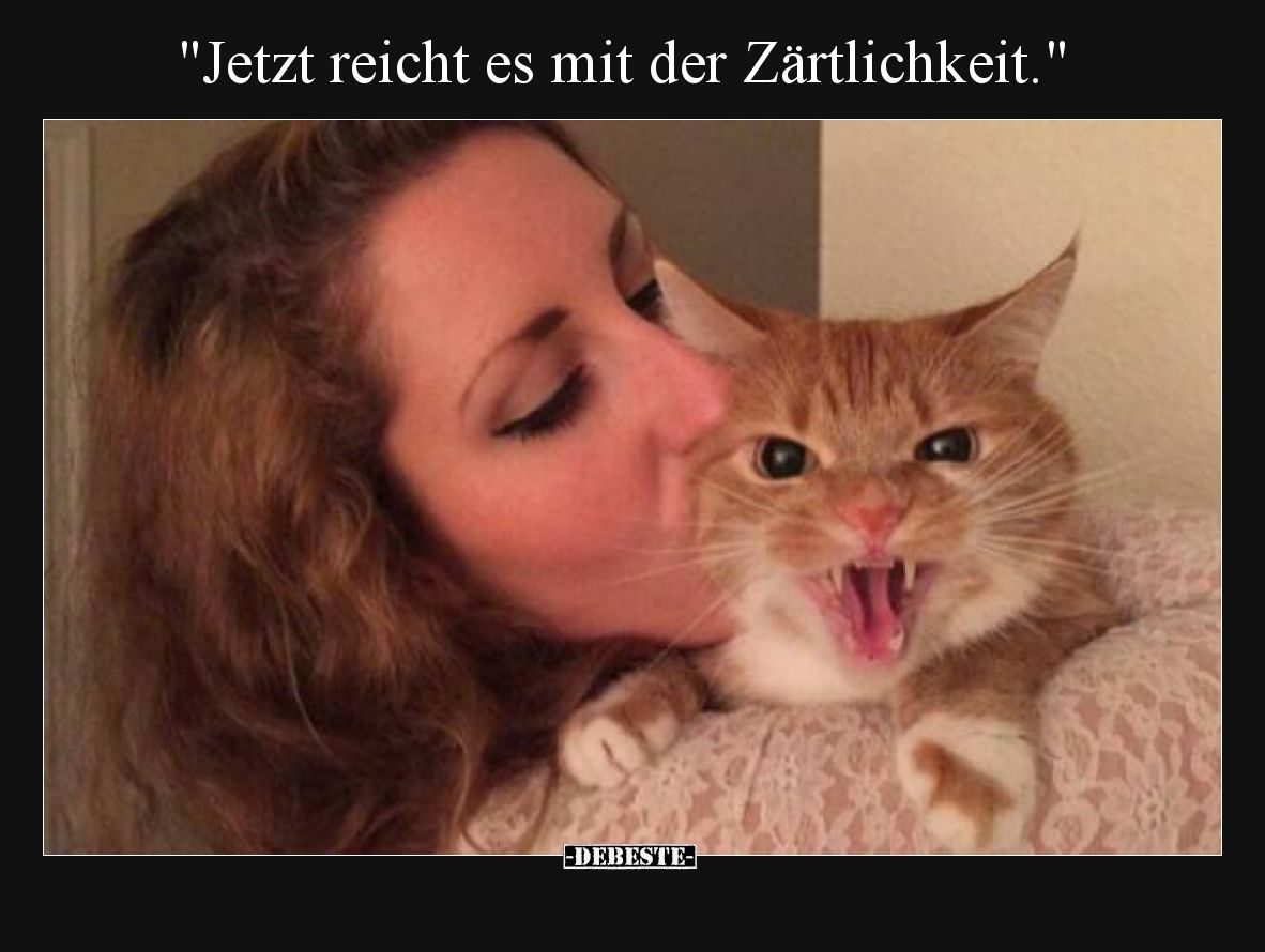 Jetzt reicht es mit der Zärtlichkeit.