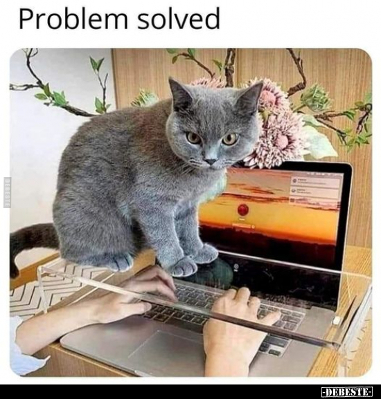  - Lustige Bilder | DEBESTE.de