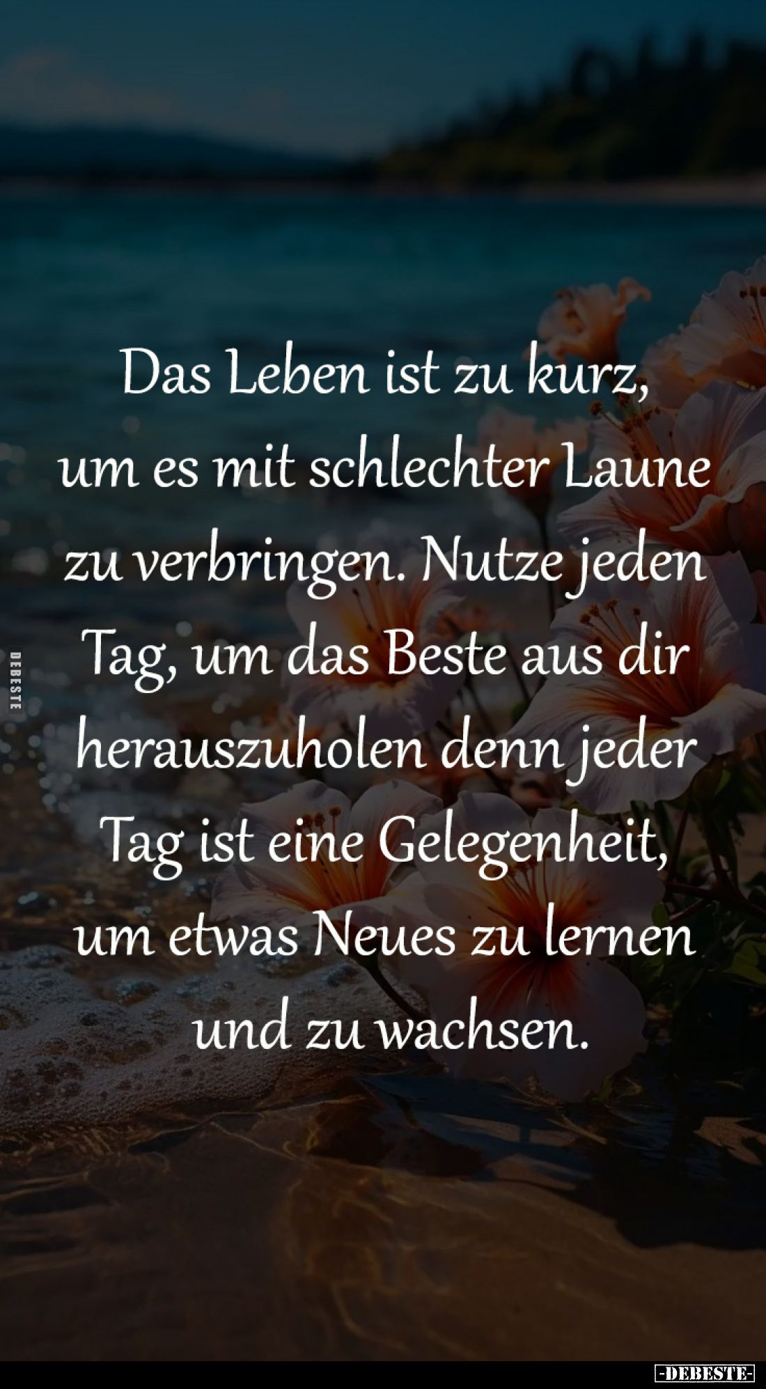 Das Leben ist zu kurz, 
um es mit schlechter Laune 
zu verbringen. Nutze jeden 
Tag, um das Beste aus dir 
herauszuholen ...