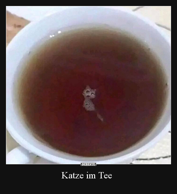Katze im Tee.. - Lustige Bilder | DEBESTE.de