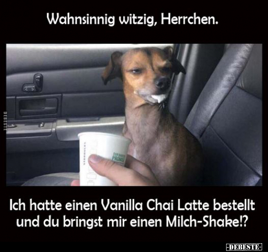 Wahnsinnig witzig, Herrchen. Ich hatte einen Vanilla Chai.. - Lustige Bilder | DEBESTE.de