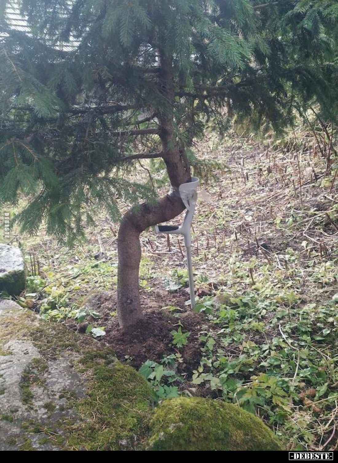  - Lustige Bilder | DEBESTE.de