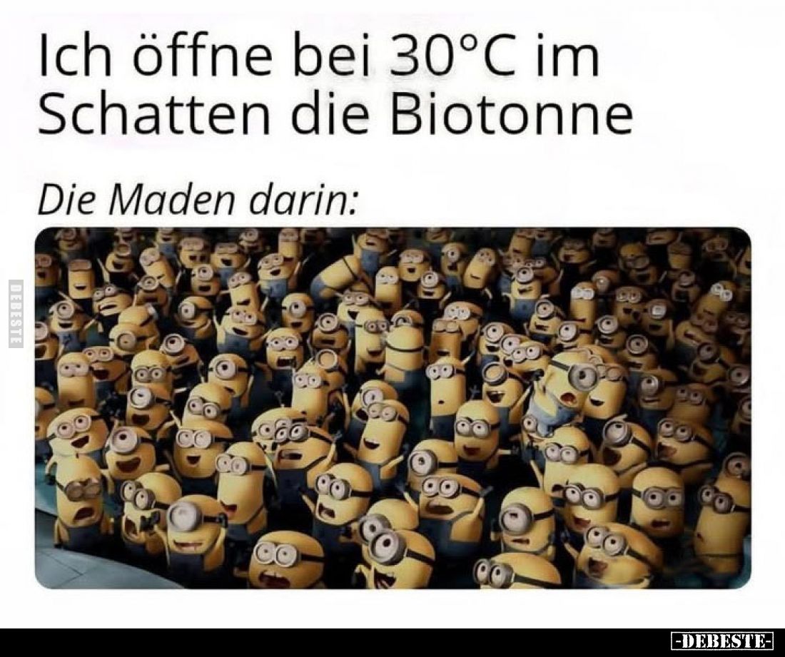 Ich öffne bei 30°C im Schatten die Biotonne
Die Maden darin: