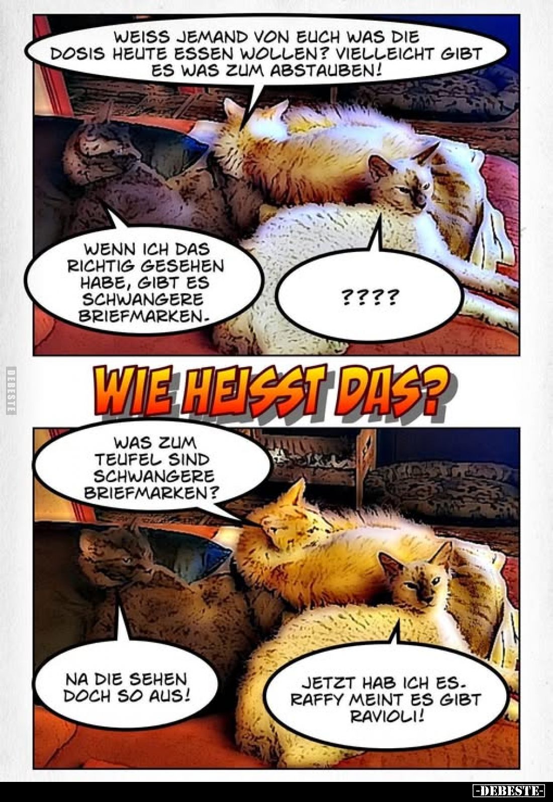 Weiss jemand von euch was die Dosis heute essen wollen? Vielleicht gibt es was zum Abstauben!
Wenn ich das richtig gesehen h...