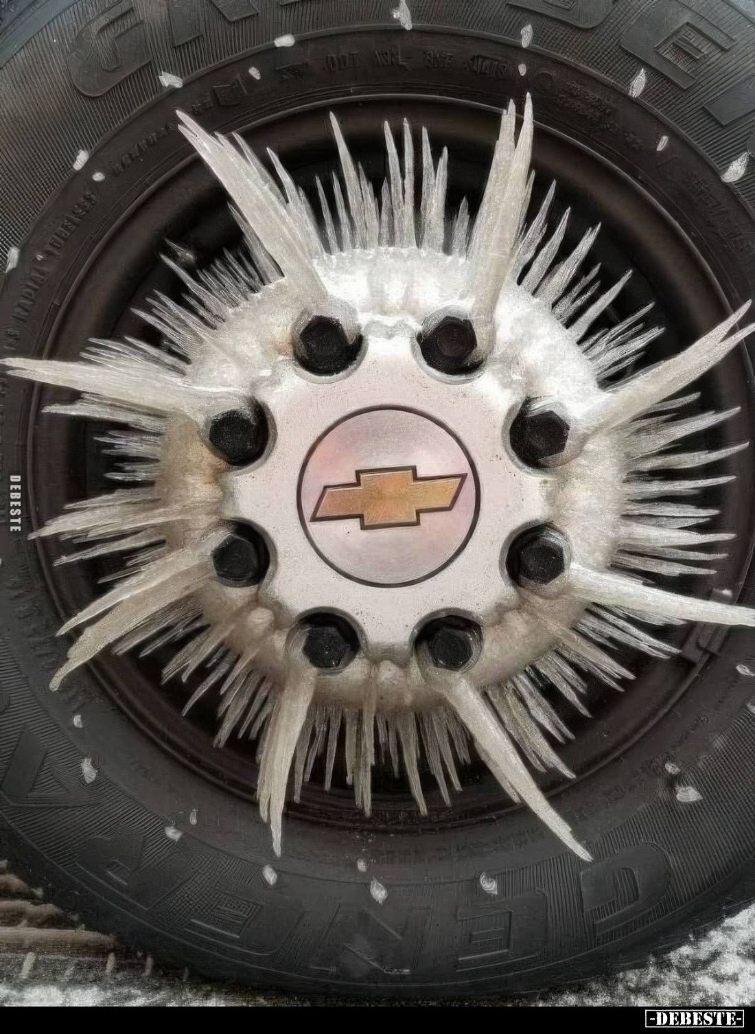  - Lustige Bilder | DEBESTE.de