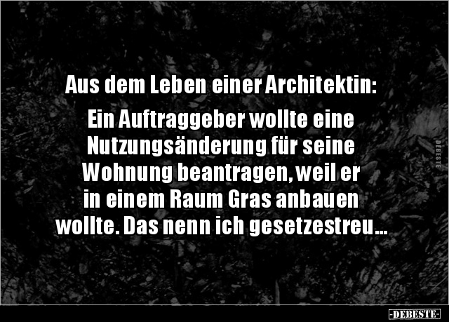 Aus dem Leben einer Architektin: Ein Auftraggeber wollte.. - Lustige Bilder | DEBESTE.de