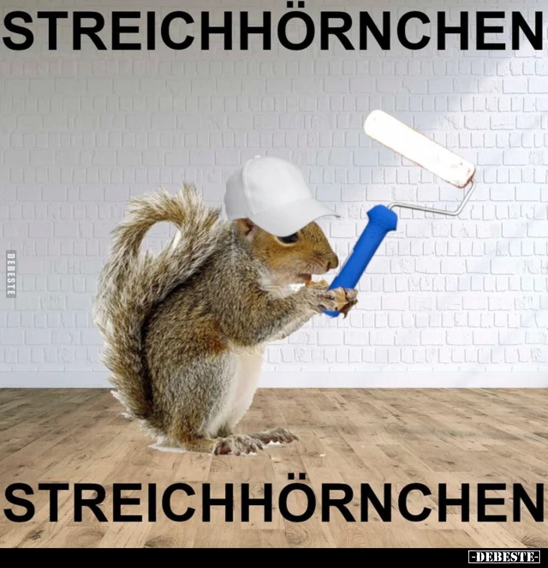 Streichhörnchen.