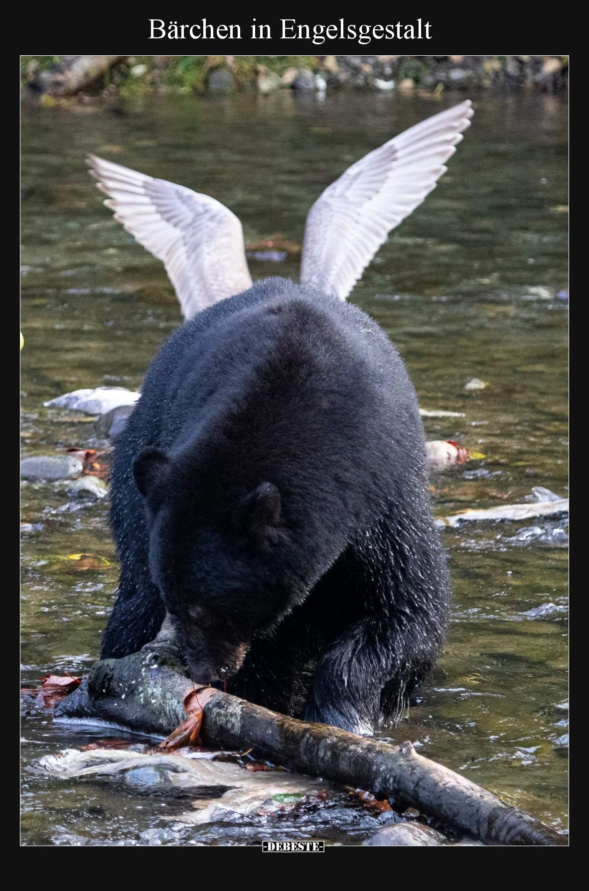 Bärchen in Engelsgestalt
