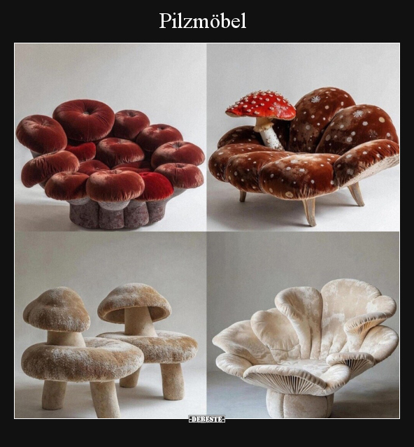 Pilzmöbel - Lustige Bilder | DEBESTE.de