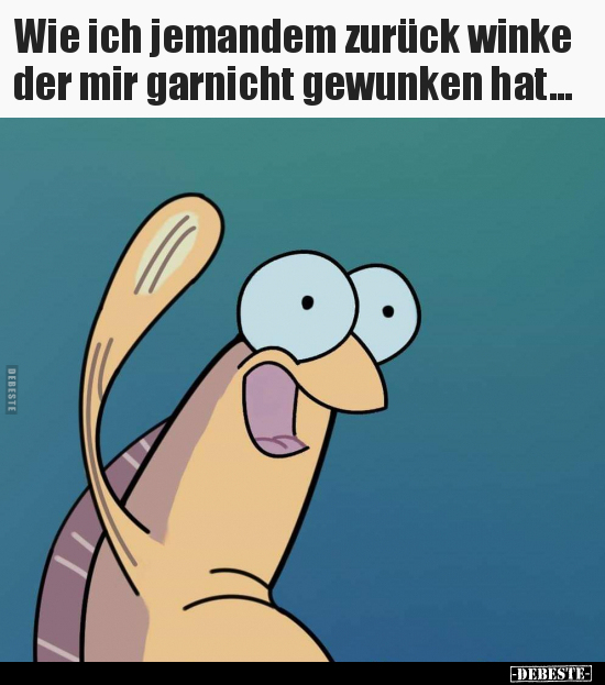 Wie ich jemandem zurück winke der mir garnicht gewunken..