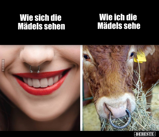 Wie sich die Mädels sehen / Wie ich die Mädels sehe. - Lustige Bilder | DEBESTE.de