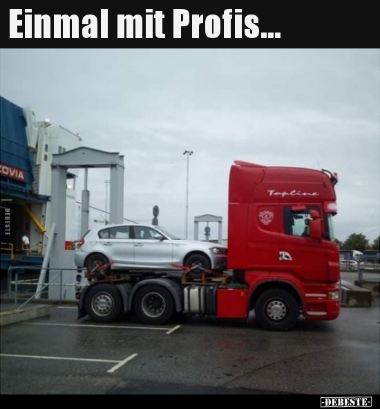 Einmal mit Profis...