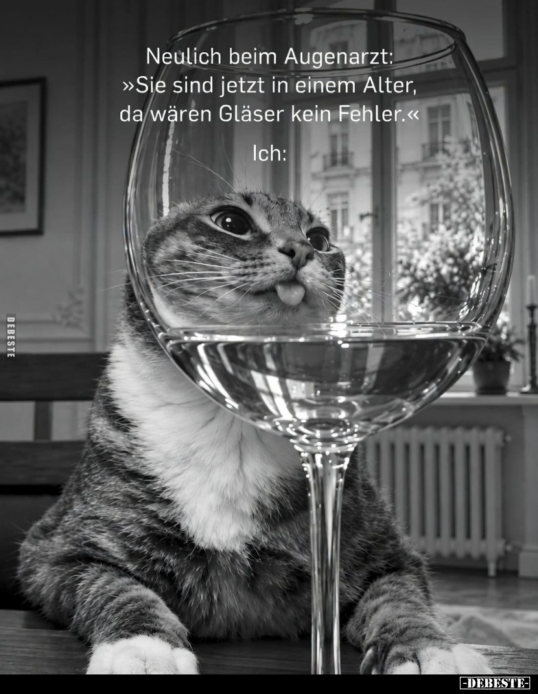 Neulich beim Augenarzt:
„Sie sind jetzt in einem Alter, da wären Gläser kein Fehler.“

Ich: