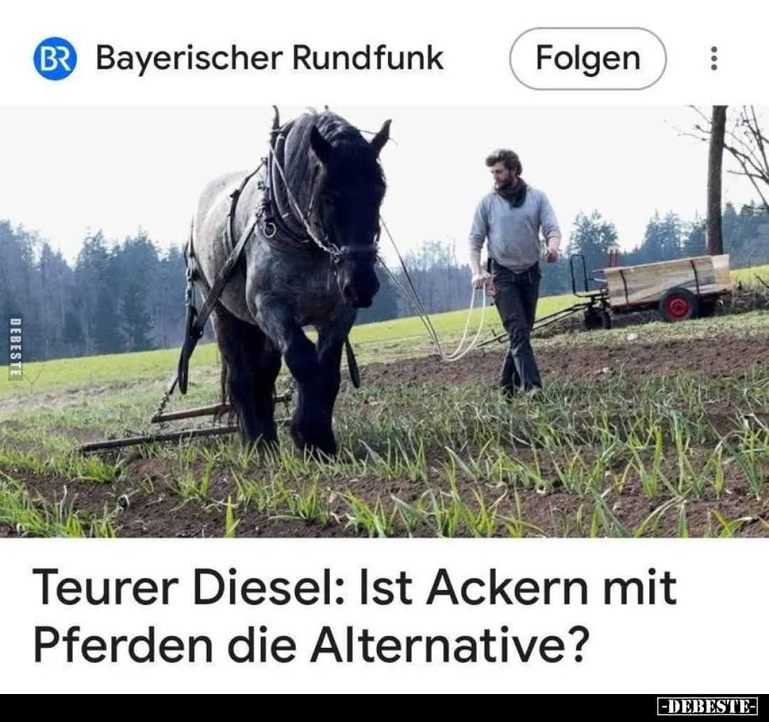 Teurer Diesel: Ist Ackern mit Pferden die Alternative?.. - Lustige Bilder | DEBESTE.de