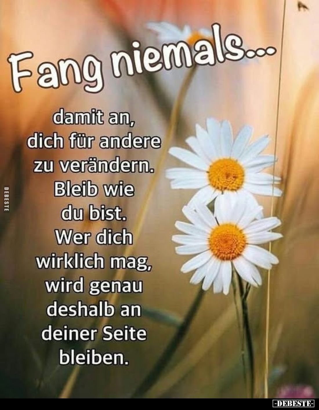 Fang niemals...
damit an, dich für andere zu verändern. Bleib wie du bist. Wer dich wirklich mag, wird genau deshalb an dein...