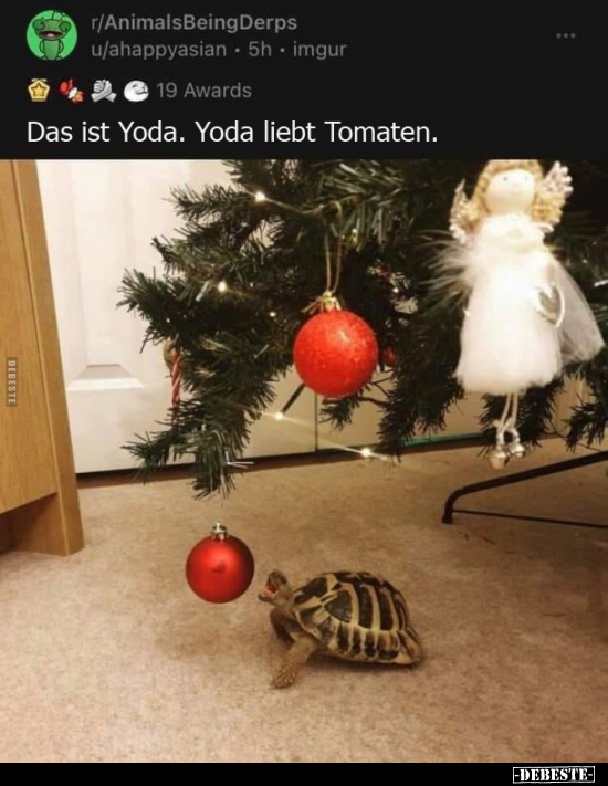 Das ist Yoda. Yoda liebt Tomaten... - Lustige Bilder | DEBESTE.de