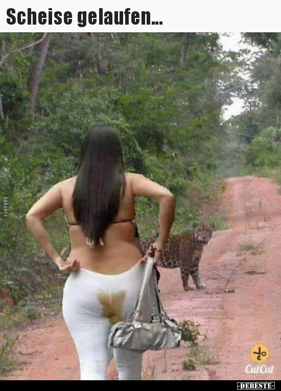 Scheise gelaufen...