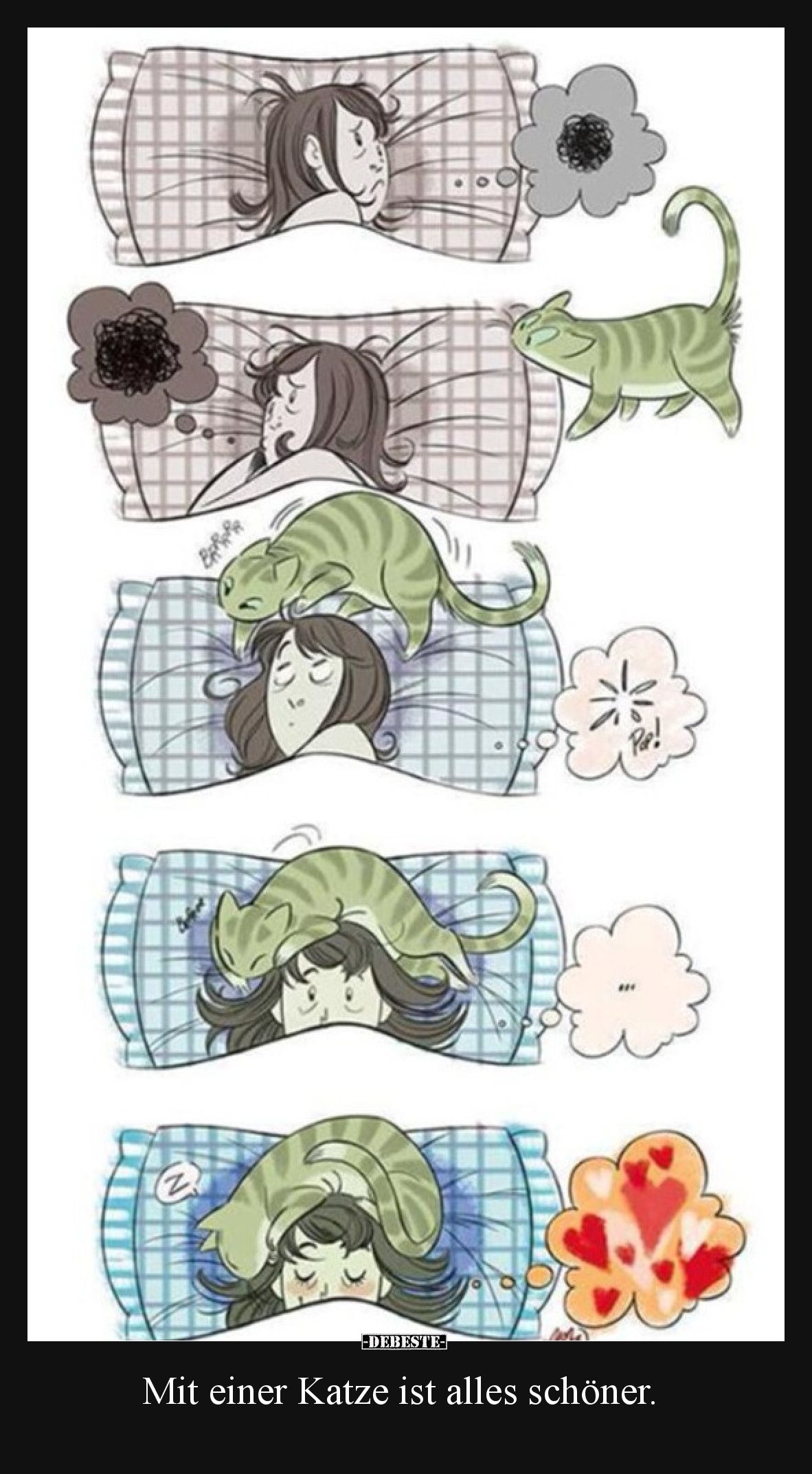 Mit einer Katze ist alles schöner.