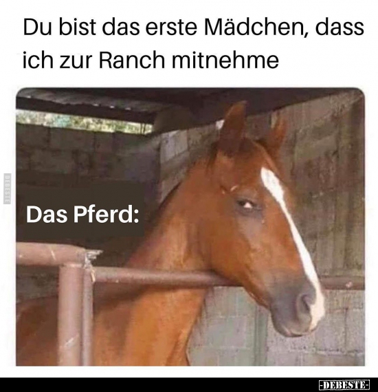 Du bist das erste Mädchen, dass ich zur Ranch mitnehme..