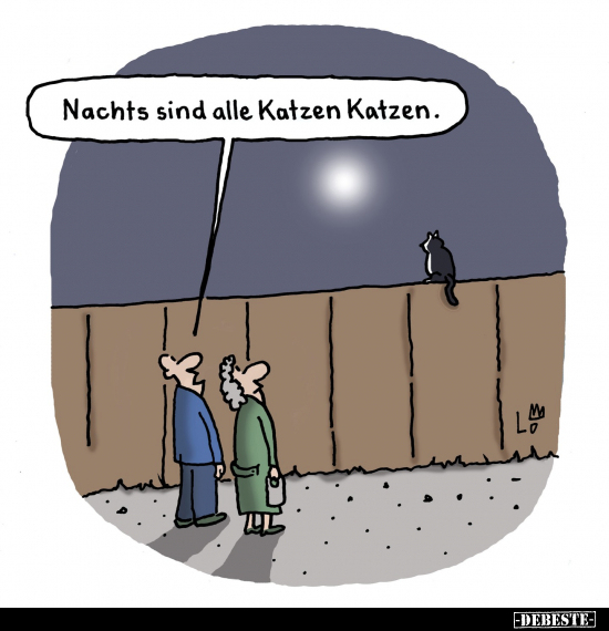 Nachts sind alle Katzen Katzen... - Lustige Bilder | DEBESTE.de